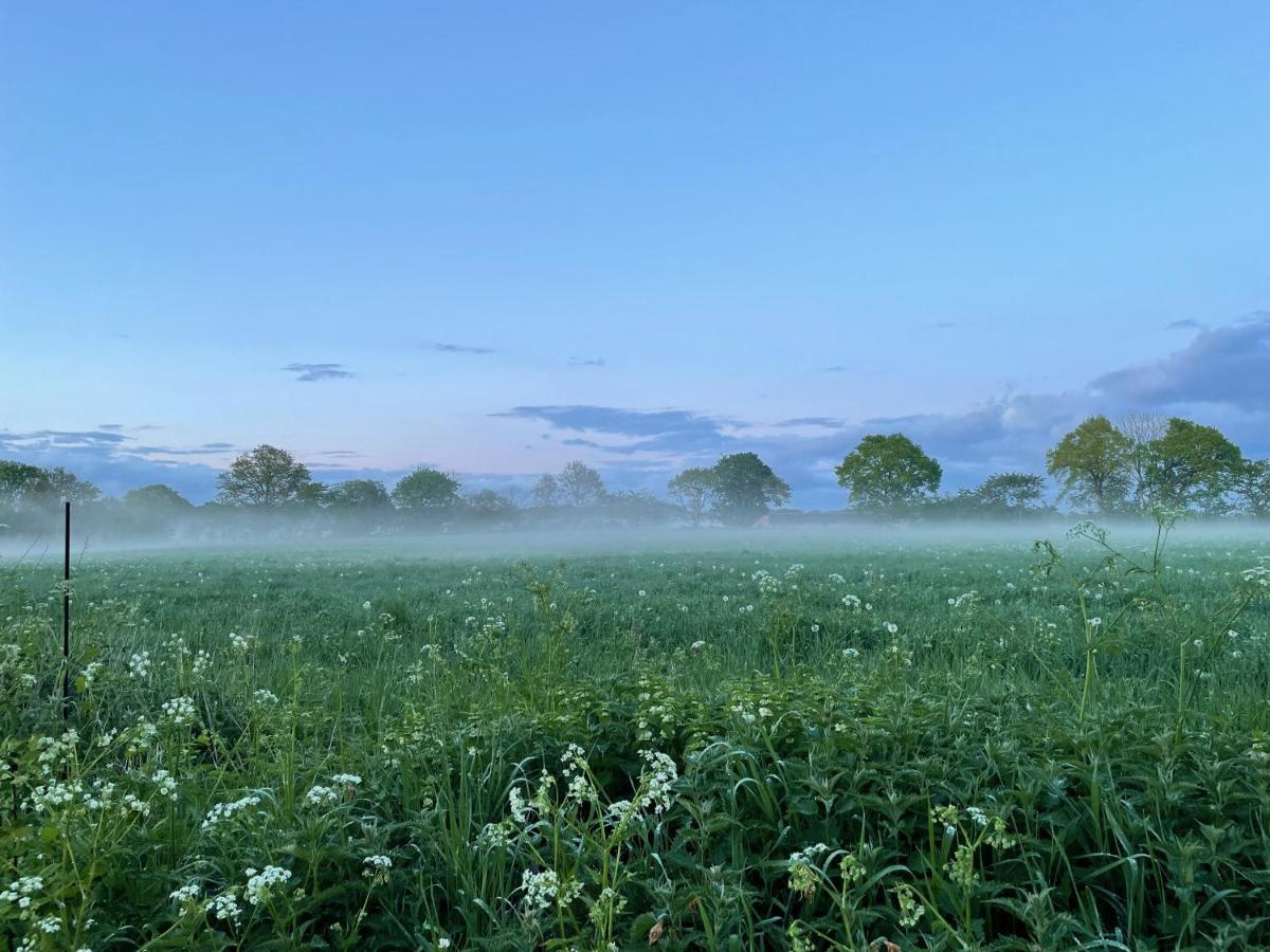 Ekenaes Gard Pa Oesterlen Kivik Buitenkant foto