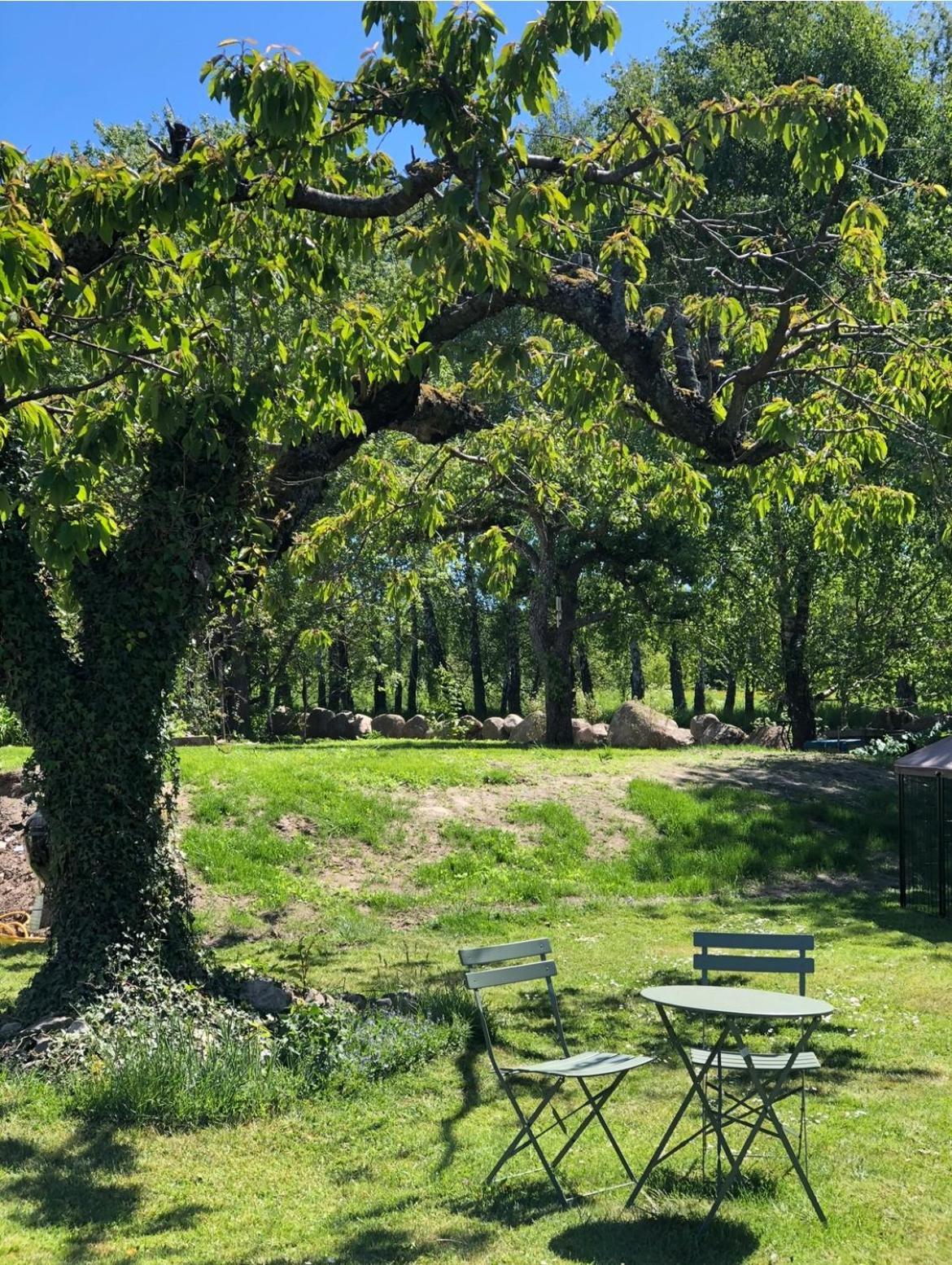 Ekenaes Gard Pa Oesterlen Kivik Buitenkant foto